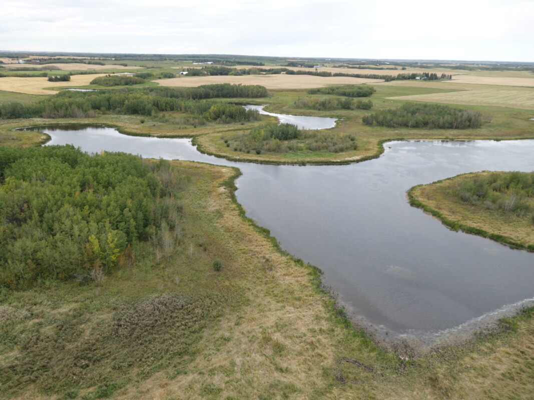 The provincial Wetland Policy aims to conserve, restore, protect, and manage wetlands to sustain the benefits they provide to Albertans. At present, this goal is elusive because the information that is currently available about the location, extent, and condition of wetlands is unreliable, incomplete, or out-of-date.