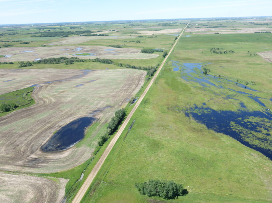 does it pay to drain wetlands?, wetland loss, agriculture, wetland conservation, cropland, canola, Alberta,