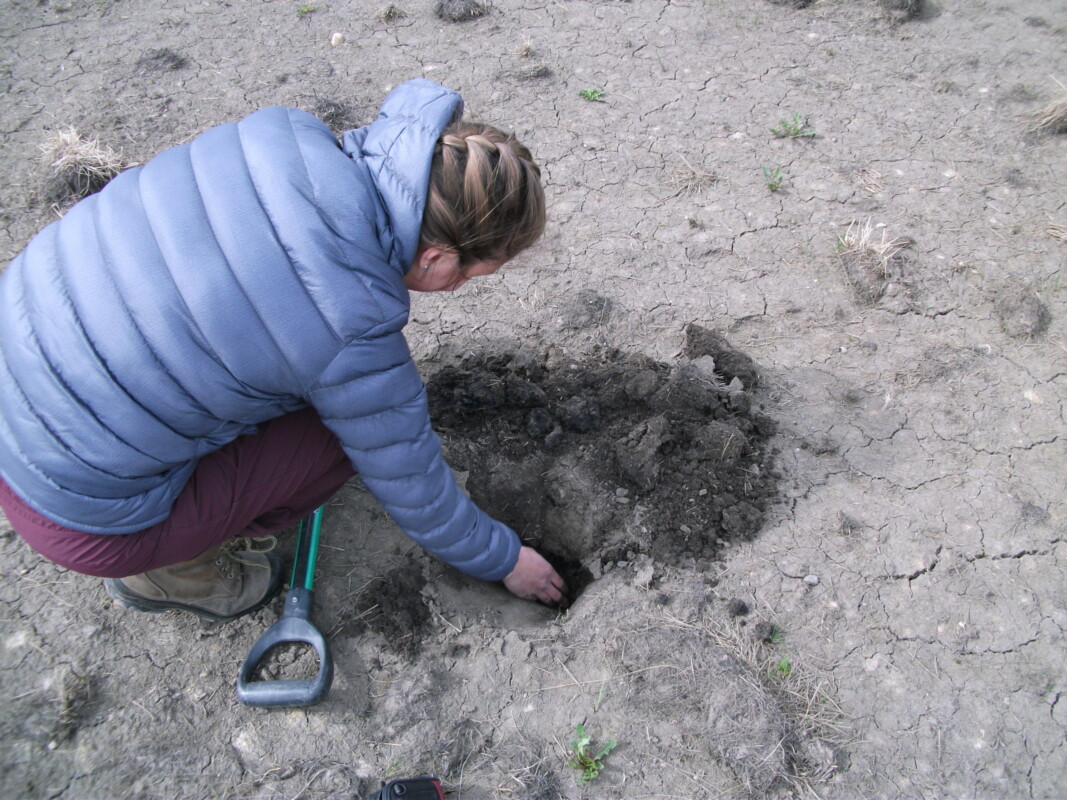 Soils, wetlands, wetland delineation, wetland assessment, ABWRET, ABWRET-A, ABWRET-D, wetland ecology, wetland conservation, public lands, historical air-photo review