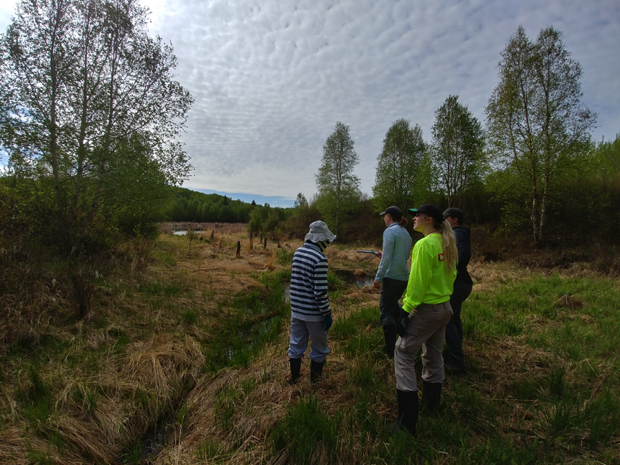 2019 Co-op Program, Remote sensing, machine learning, automated land classification, GIS, model validation, field validation, fieldwork, work experience,