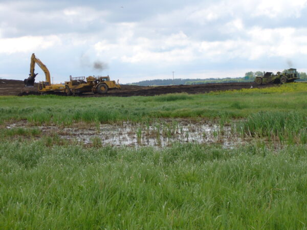 Fiera Biological Consulting has wetland specialists who can help identify, delineate, avoid, mitigate and compensate
