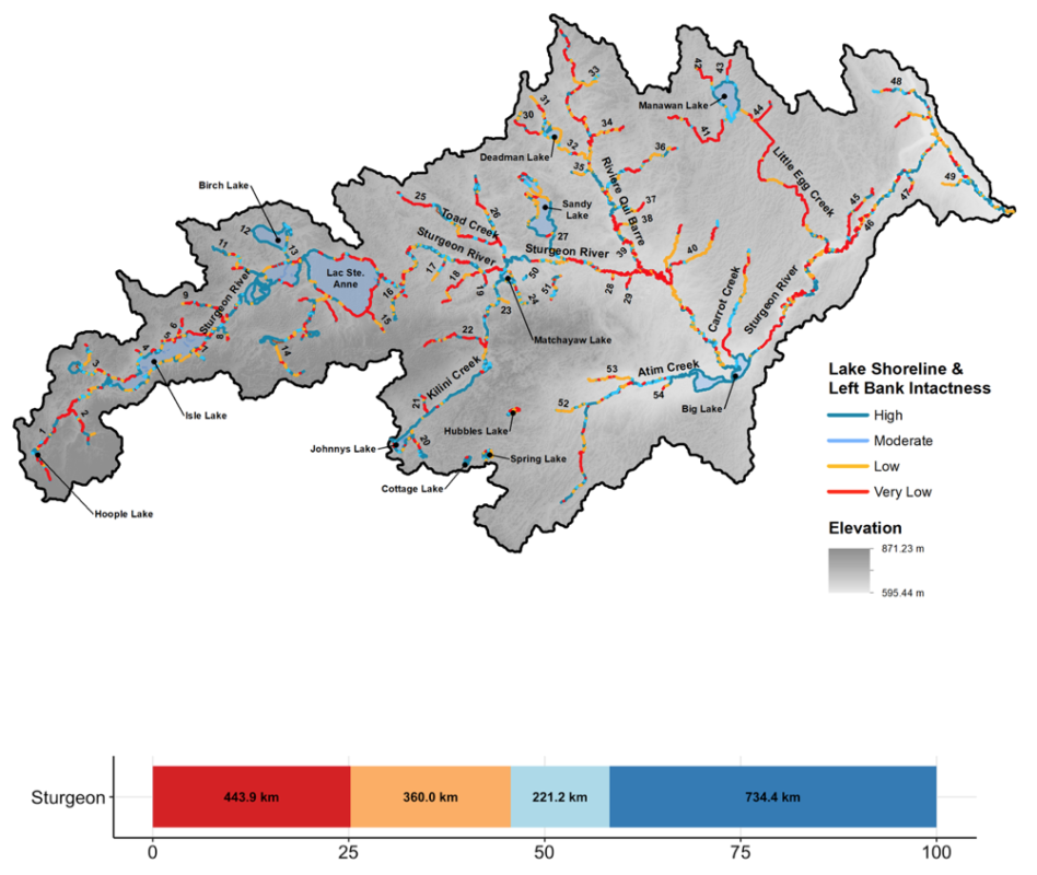 A map or summary of riparian intactness is provided which can be used to target areas with lower intactness for restoration or conservation.