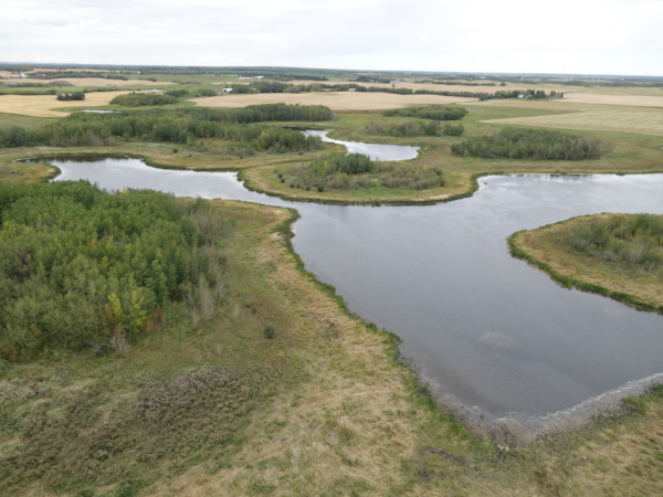 Wetland inventory, wetland condition, remote sensing, UAV, Drone, Satellite imagery, landscape planning, conservation planning, municipal policy, municipal planning, wetland conservation, wetland management, land management, stewardship