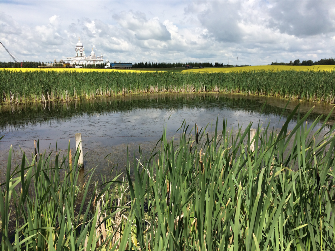 Wetlands, research, research and development, protocols, standards, monitoring, conservation planning, environmentally significant areas, riparian assessment, remote sensing