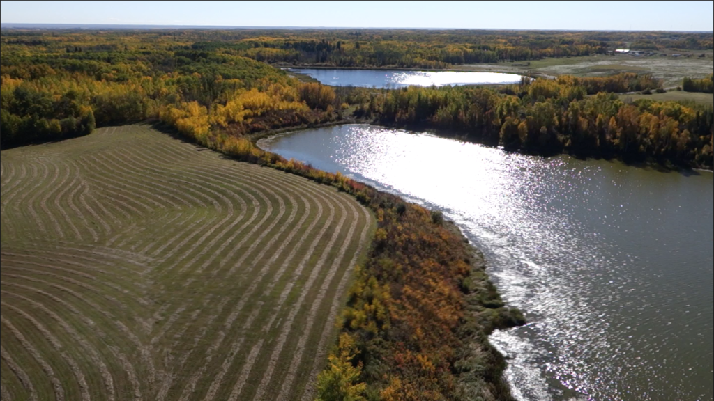 UAV, Riley, Draganflyer X4P, UAV Geomatics, Ecological Geomatics, Riparian Assessments with Drone, Wetland Assessments with Drone, ecology, Drone, processing