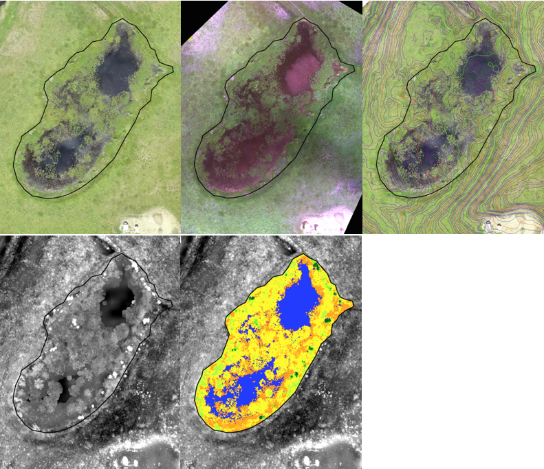 Since 2013, Fiera Biological has been engaged in efforts to improve wetland management in Alberta by developing new, novel, and reliable remote sensing and GIS methods for inventorying and assessing the condition of wetlands. 