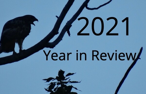 2021 Year in Review Fiera Biological Consulting