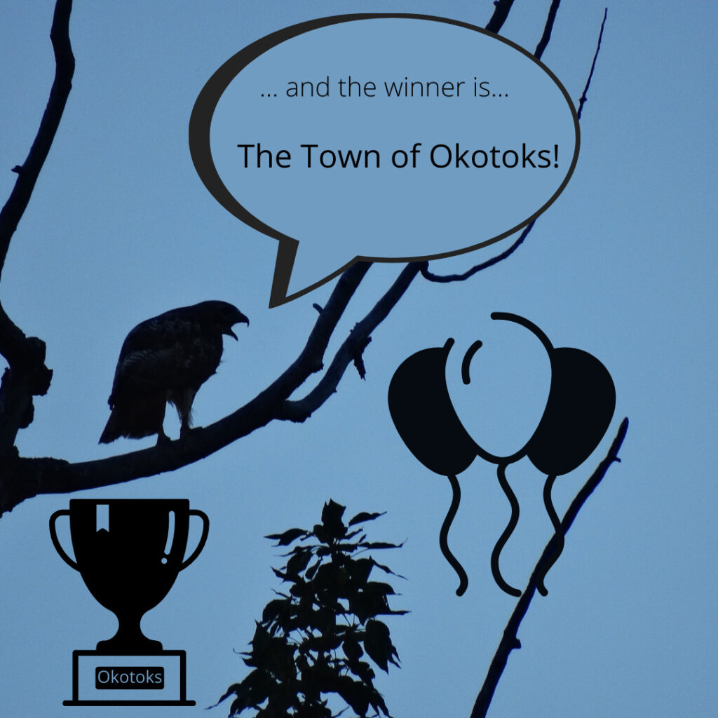 In 2021 The Town of Okotoks received environmental awards for work Fiera Biological helped them with.